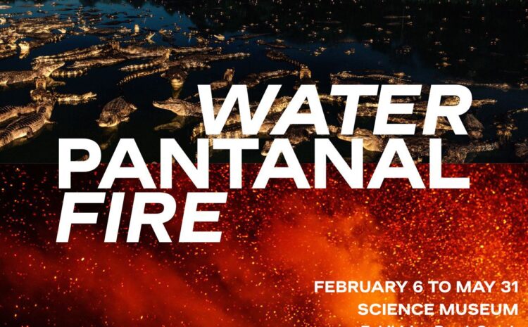  Água Pantanal Fogo estreia em Londres com a presença de embaixador do Brasil 