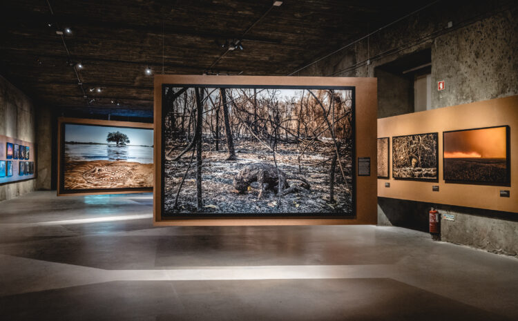  FIBE reafirma parceria com Documenta Pantanal na estreia de Água Pantanal Fogo em Londres